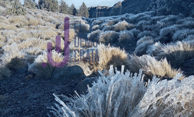 -2 grados en Las Vigas y Perote, las temperaturas más bajas del estado